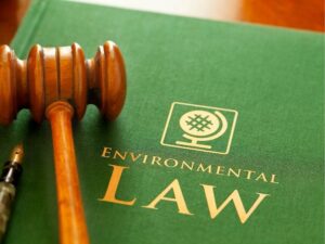 Why You Need a Burn Injury Lawyer: Navigating the Legal Process After a Burn Accident