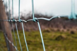 How to Resolve Boundary Disputes and Property Line Issues